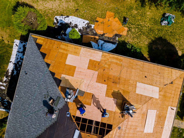 Best Roof Maintenance Services  in Wilder, VT